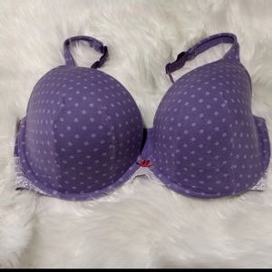 Cacique Purple Bra